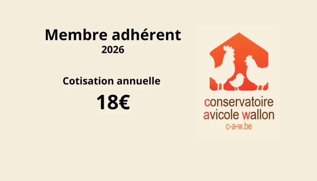 Adhésion 2026 - Membre CAW 1 an